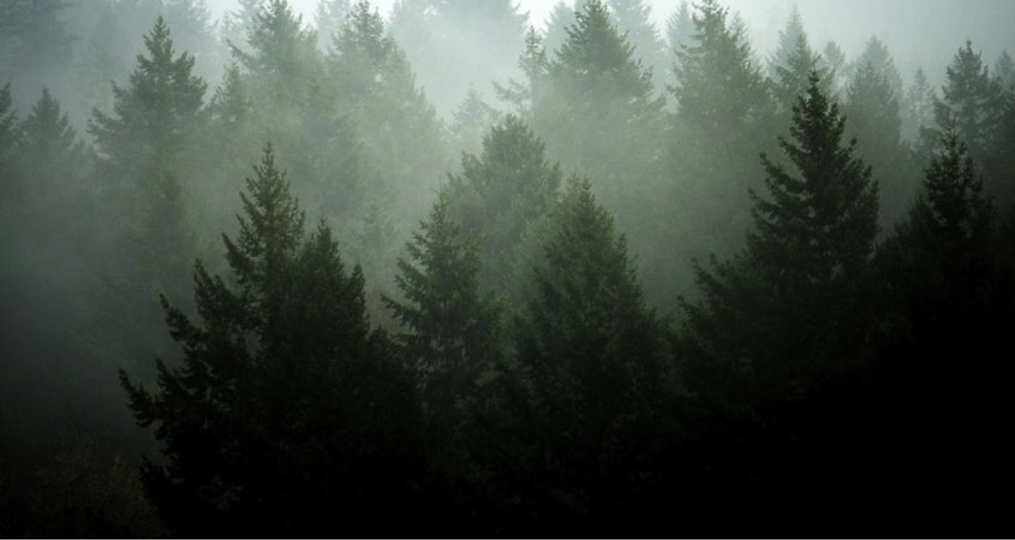 1705848155730748.png 1.png