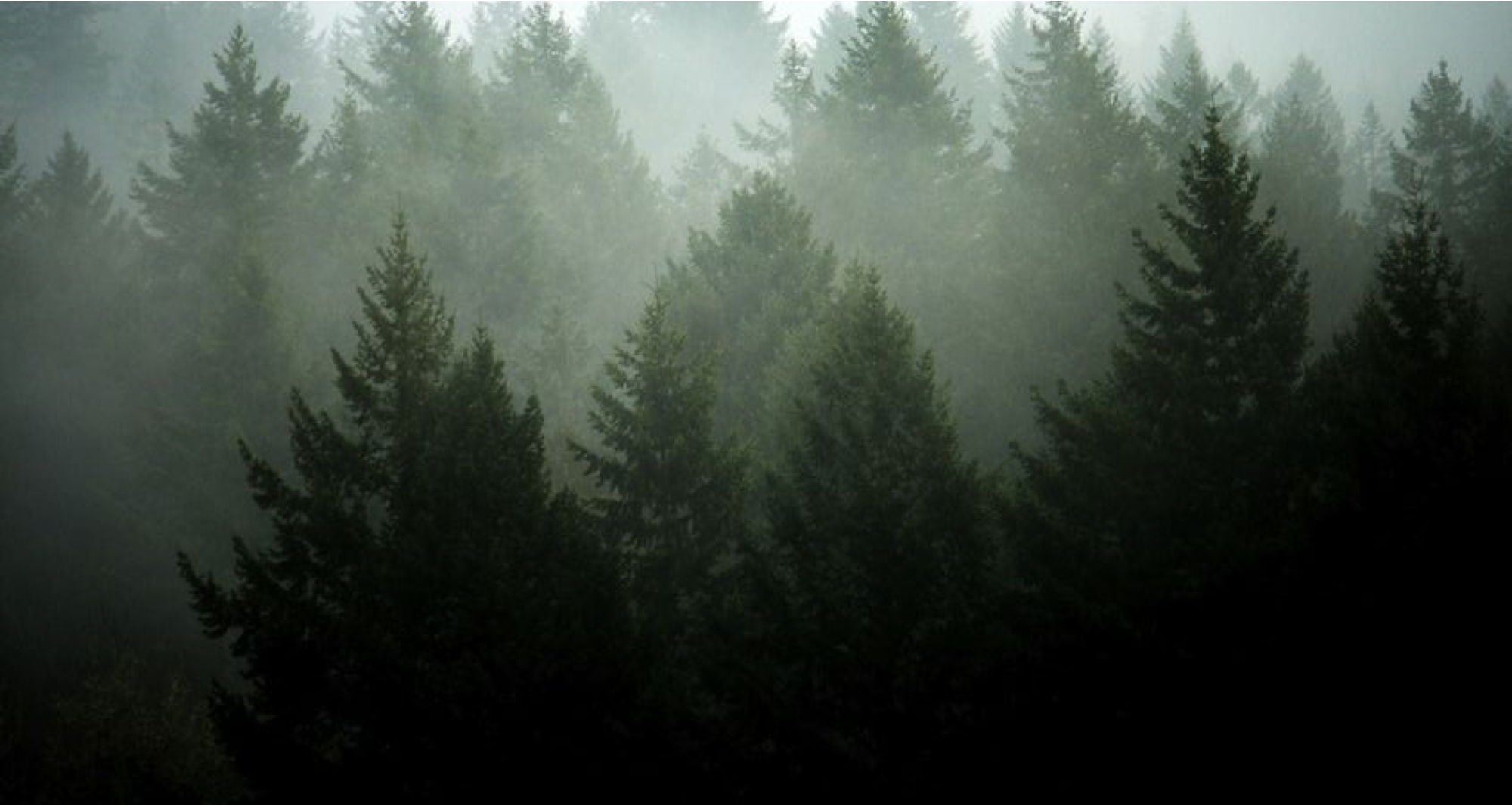 全球最高级别的产品认证