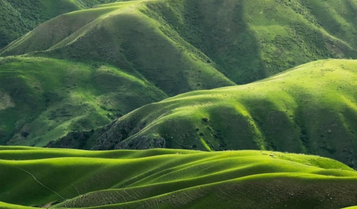 纯天然，保健康